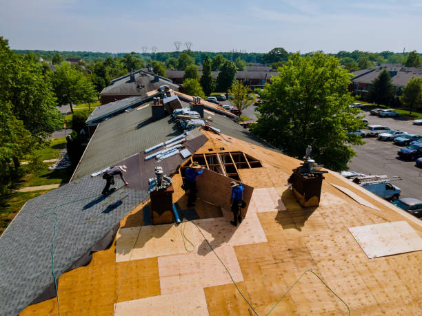 Best Roof Repair Services  in Meridian, PA