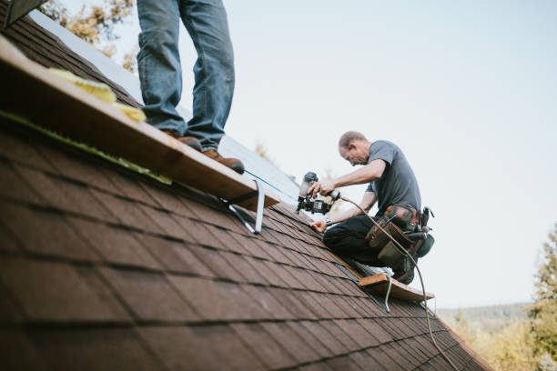 Best Gutter Installation and Roofing  in Meridian, PA
