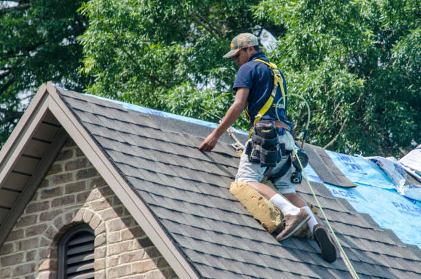 Best Local Roofing Companies  in Meridian, PA